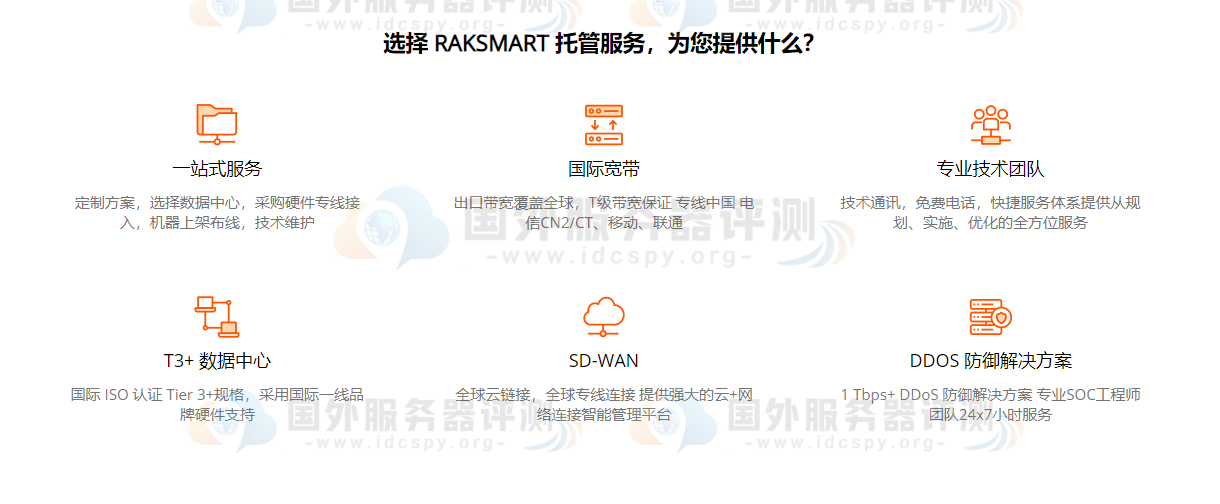 RAKsmart托管优势