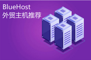 外贸主机推荐 首选BlueHost外贸主机