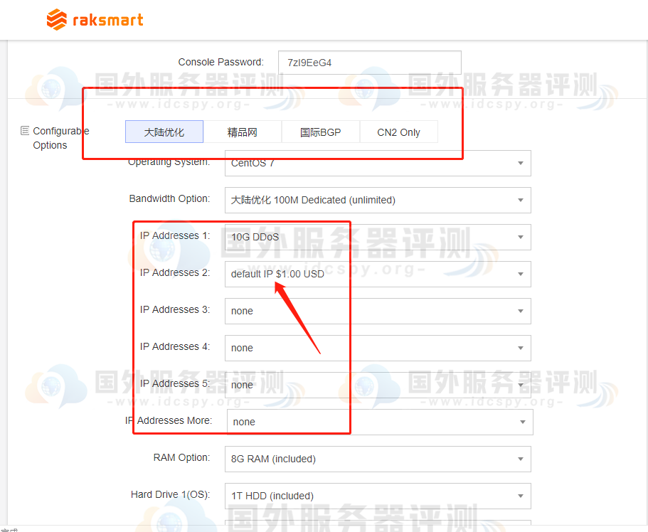 RAKsmart美国站群服务器的ip数量