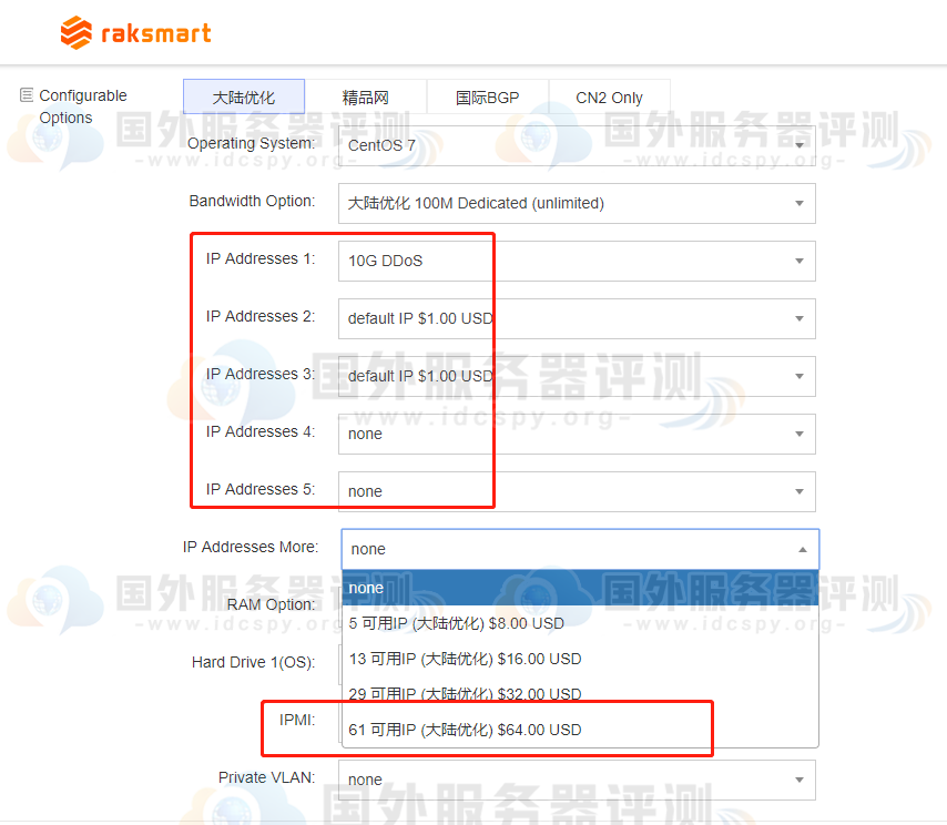 RAKsmart美国站群服务器大陆优化路线IP数量