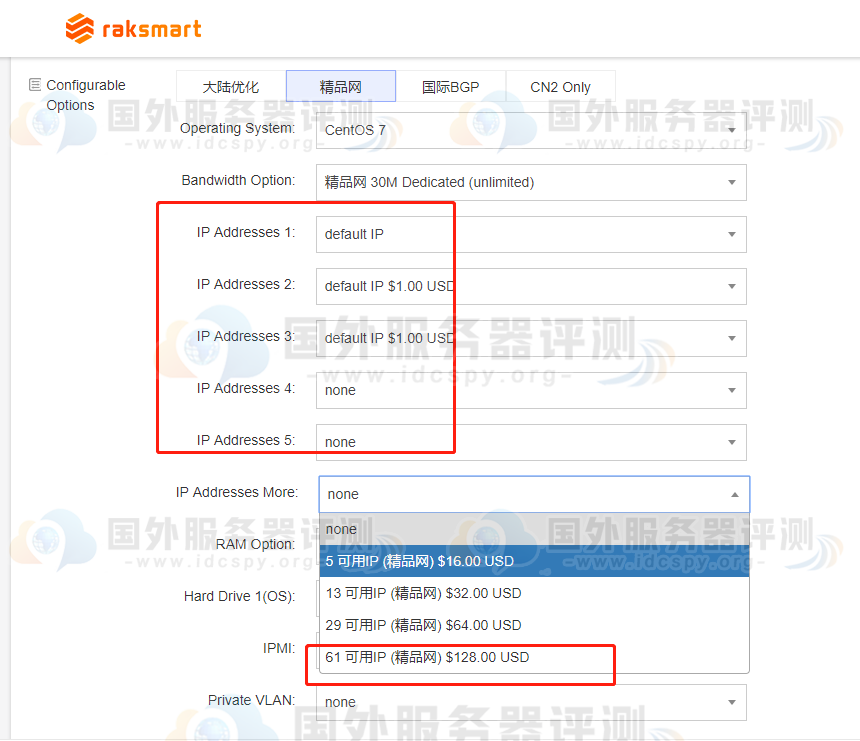 RAKsmart美国站群服务器精品网路线IP数量