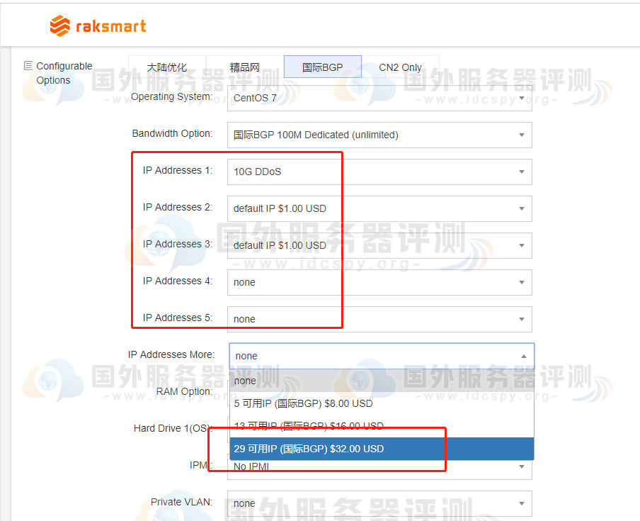 RAKsmart美国站群服务器国际BGP路线IP数量