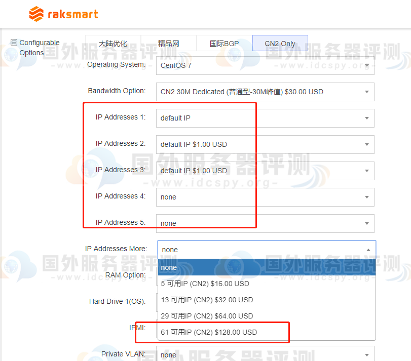 RAKsmart美国站群服务器CN2 only路线IP数量