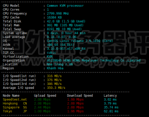Megalayer香港VPS的租用方案和速度等综合评测