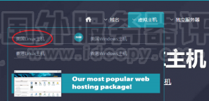 HostEase美国Linux主机购买图文流程