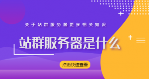站群服务器是什么 站群服务器的优势
