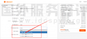 RAKsmart韩国站群服务器租用方案推荐