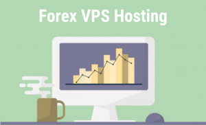 外汇VPS怎么买？IOZooM外汇VPS方案推荐