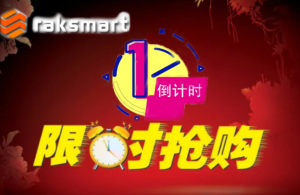 RAKsmart爆款美国服务器超低价活动已进入倒计时！