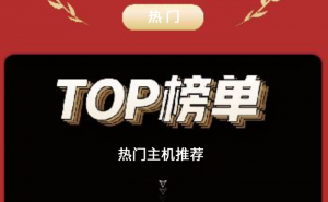 热门主机推荐 国外主机TOP榜