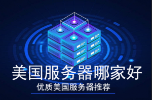 美国服务器租用哪家好 优质美国服务器推荐