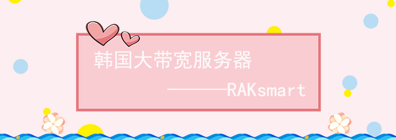 RAKsmart韩国大带宽服务器