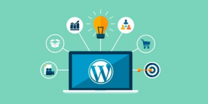 新手站长如何搭建个人博客网站？