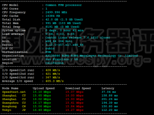 Megalayer美国CN2 VPS主机评测（1核1G优化带宽方案）