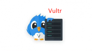 日本VPS哪个好？Vultr日本VPS东京机房测试体验