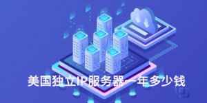 美国独立IP服务器一年多少钱？