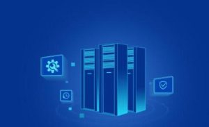 租国外服务器一个月多少钱