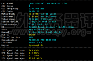 RAKsmart韩国SSD VPS方案性能和速度综合评测