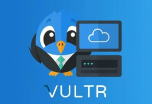 韩国VPS哪家好？Vultr韩国VPS租用方案推荐