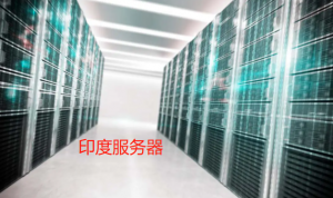 印度服务器租用价格多少钱一年