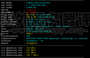 Megalayer原生IP新加坡VPS速度性能评测