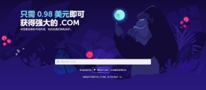 Namecheap域名优惠 .com域名低至0.98美元