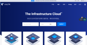 Vultr教程：如何创建块存储 iSCSI 门户