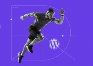 Hostinger WordPress主机支持哪些付款方式