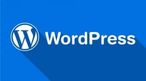 Hostens建站教程：宝塔Linux面板搭建WordPress网站