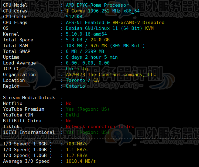 Vultr印度德里NCR VPS速度综合评测