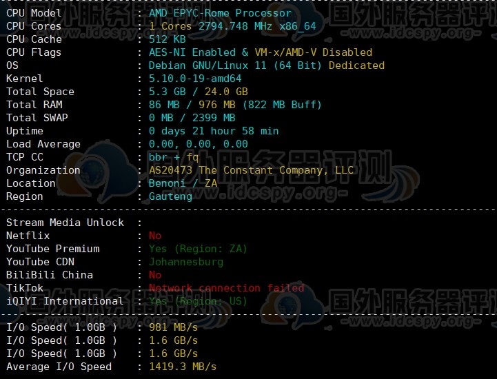 Vultr南非约翰内斯堡VPS速度性能综合评测