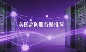 美国高防服务器有哪几个品牌？推荐RAKsmart
