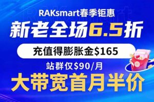 RAKsmart春季大促 新老用户全场6.5折 VPS云服务器$1.99起 站群仅$90/月