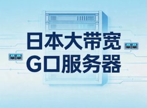 日本大带宽G口服务器租用多少钱