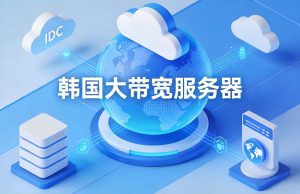 韩国大带宽服务器好不好