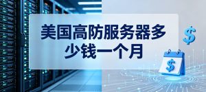 美国高防服务器多少钱一个月？租用价格与防护配置参考