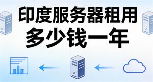 印度服务器租用多少钱一年？价格/配置/适用场景