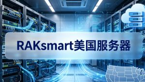 租用RAKsmart美国服务器前要核对哪些配置