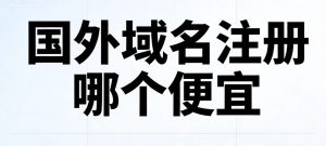 国外域名注册哪个便宜?NameSilo与Namecheap常见后缀价格实测