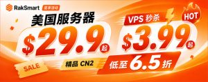 RakSmart夏季促销 美国服务器$29.9起 VPS秒杀$3.99起 精品CN2低至6.5折