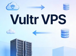 Vultr VPS入门方案与机房线路怎么样