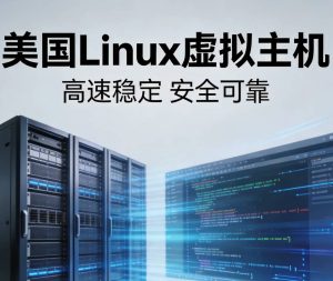 美国Linux虚拟主机与Windows主机的选择差异