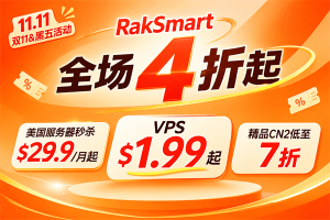 RakSmart双11&黑五大促开启：美国服务器$29.9/月起，VPS低至$1.99/月，精品CN2享7折